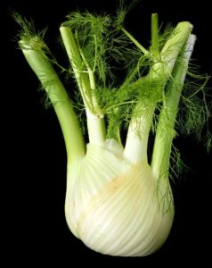 Fenchel Extrakt